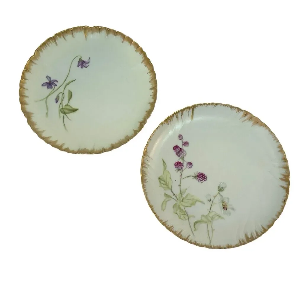 Haviland 1870-1890 Decorative Floral Plates France 7” Set of 2